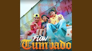 Flow Tumbado Preview [upl. by Elisee]