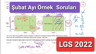 LGS 2023 Ekim Ayı Örnek Sorular ve Çözümleri  LGS Ekim Ayı Örnek Soruları 2023 [upl. by Canice]