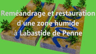 Reméandrage et restauration dune zone humide à Labastide de Penne 82 [upl. by Eenot]