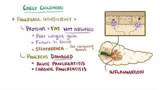 Cystic fibrosis causes symptoms diagnosis treatment amp pathology [upl. by Ordnael889]