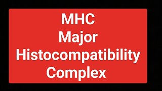 MHC complete notes [upl. by Sapienza]