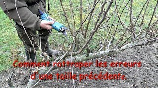 Comment rattraper les erreurs de taille dun pommier [upl. by Ravaj]