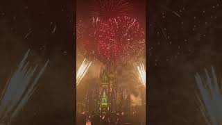 Magic Kingdom Fireworks [upl. by Nnaacissej]