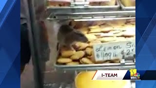 Lexington Market to reopen after rat found on bakery treats [upl. by Peednama]