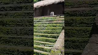 zona arqueológica de Malinalco pueblo mágico malinalco mexico viajes pueblomagico [upl. by Sedberry]