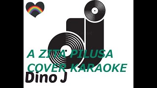 A ZITA PILUSA COVER karaoke fair useBRIGANTONY [upl. by Eves]