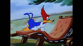 Woody Woodpecker  Drooler’s Delight 1948 [upl. by Shena925]