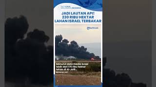 Diserang Hizbullah Tanpa Henti Ratusan Ribu Hektar Lahan di Israel Terbakar Bak Lautan Api [upl. by Nylaroc]