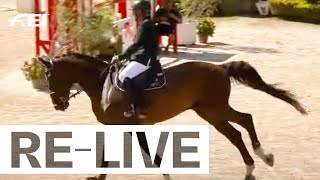 RELIVE  2nd competition  Individuals amp Teams I FEI Jumping European Championships for Veterans 24 [upl. by Genaro]