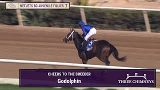 Immersive wins the NetJets Breeders Cup Juvenile Fillies GI race 7 at Del Mar 11124 [upl. by Siesser]