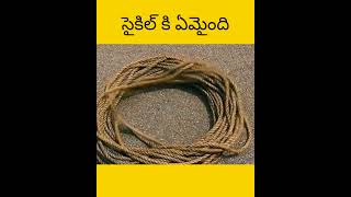 Vellu cycle tho assalu em cheystharu telugu facts amazingfacts [upl. by Enihpad]