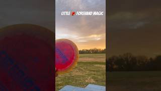 Dialing in that forehand a lil’ bit circle chuckers discgolf infinite tomb innova firebird [upl. by Carlock]