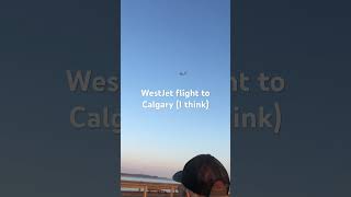 Calgary WestJet flight [upl. by Luben]