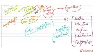 a Our body fails to synthesize many essential amino acids Name four of them b What are ant [upl. by Ennaxor]