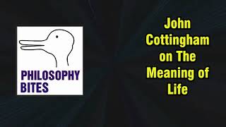 Philosophy Bites 4  John Cottingham on The Meaning of Life [upl. by Gardol]