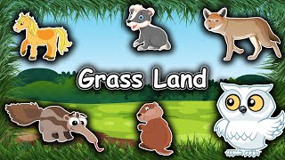 Grassland Animal Sound  Entertaining and Educational Song for Toddlers  Nursery Rhymes  EduFam [upl. by Youlton]