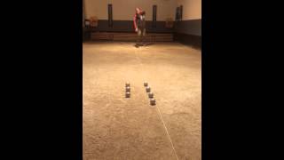 Robin Johansson training day and trickshots in Boule Petanq [upl. by Larianna]