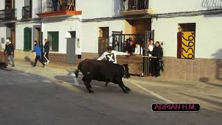 EstivellaV 1022018 Detalles de Javi Edo Ganado de Monferrer [upl. by Eirek]