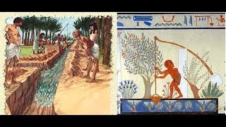 Ancient Egypt irrigation [upl. by Casteel]