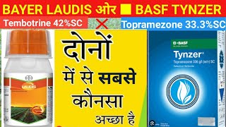 bayer laudis ओर basf tynzer m sabse best kon hsabse best herbicide in maizebasf laudisBASF Tynzer [upl. by Moia]