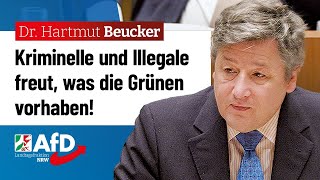 Kriminelle und Illegale freut was die Grünen vorhaben – Dr Hartmut Beucker AfD [upl. by Ymiaj]