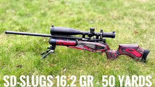 Daystate Red Wolf 177 HP  162 gr slugs [upl. by Fassold]