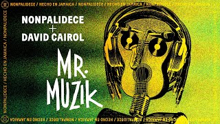 NONPALIDECE  DAVID CAIROL  MR MUZIK [upl. by Atnaloj]