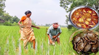 santali old couple collect country crab in field and cooking for their lunch [upl. by Yelyr]