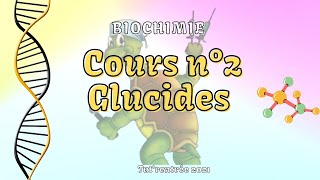 Biochimie  02 Glucides [upl. by Ynafit537]