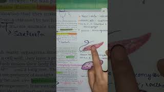 Euglena explained in one minute ncert neet Biological classification [upl. by Wettam]