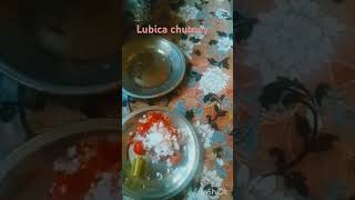 Lubica lovelolica chutney food [upl. by Yzeerb]