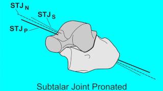 Subtalar Joint Axis Spatial Location Changes with Subtalar Joint Rotational Motions [upl. by Adiehsar]