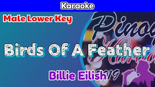 Birds Of A Feather by Billie Eilish Karaoke  Male Lower Key [upl. by Lattie306]