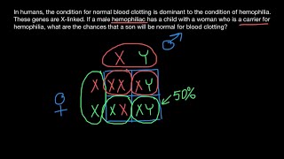 Xchromosome genetic disorders inheritance explained [upl. by Mharg]