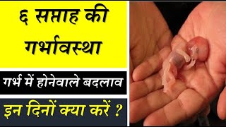 6th week Pregnancy Baby growth and development in hindi [upl. by Adebayo]