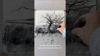 Charcoal sketch  Hawthorn tree artwork charcoaldrawing charcoalonpaper [upl. by Auod449]