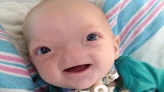 Meet Cutest babies Ever  Cute Babies and Toddlers Compilation [upl. by Voltz]