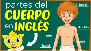 Partes del Cuerpo en Inglés  Inglés para Principiantes [upl. by Kolnos]