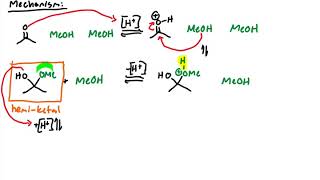 Oxygen Nucleophiles Acetal and Ketal Formation [upl. by Ebenezer52]