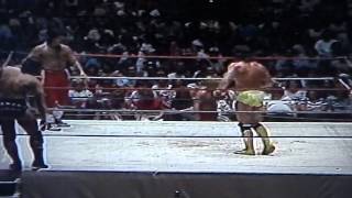 Macho Man Randy Savage amp Lanny Poffo VS The Rock amp Roll Express [upl. by Cthrine]