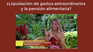 Liquidación gastos extraordinarios y la pensión alimentaria en Costa Rica [upl. by Essined]