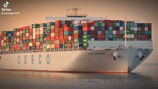 cosco Shipping cargo ship [upl. by Dahraf]