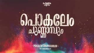 POKALEM CHUNNAMBUM  Malayalam Rap  DVINKM3  PRAIL [upl. by Doowyah]