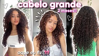 como crescer o cabelo em 2 MESES  o que fiz para crescer rapido dicas e truques🎀 [upl. by Woodie304]