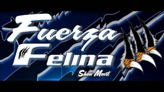 SALSA FUERZA FELINA VOL 1 [upl. by Hadleigh]