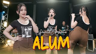 ALUM  SHINTA ARSINTA Official Music Live [upl. by Isoais]