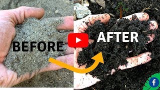 5 TIPS FOR BUILDING PERFECT HEALTHY SOIL FOR FREE [upl. by Ferne]