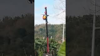 May solar street lights youtube road [upl. by Jehovah]