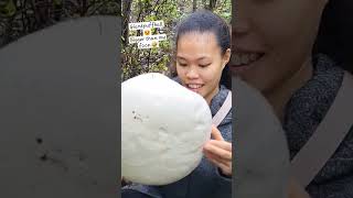 GIANT PUFFBALL MUSHROOM  AUSTRIA [upl. by Bibby]