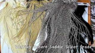 Rooster Saddle Hackle Feathers Tutorial [upl. by Geoff]